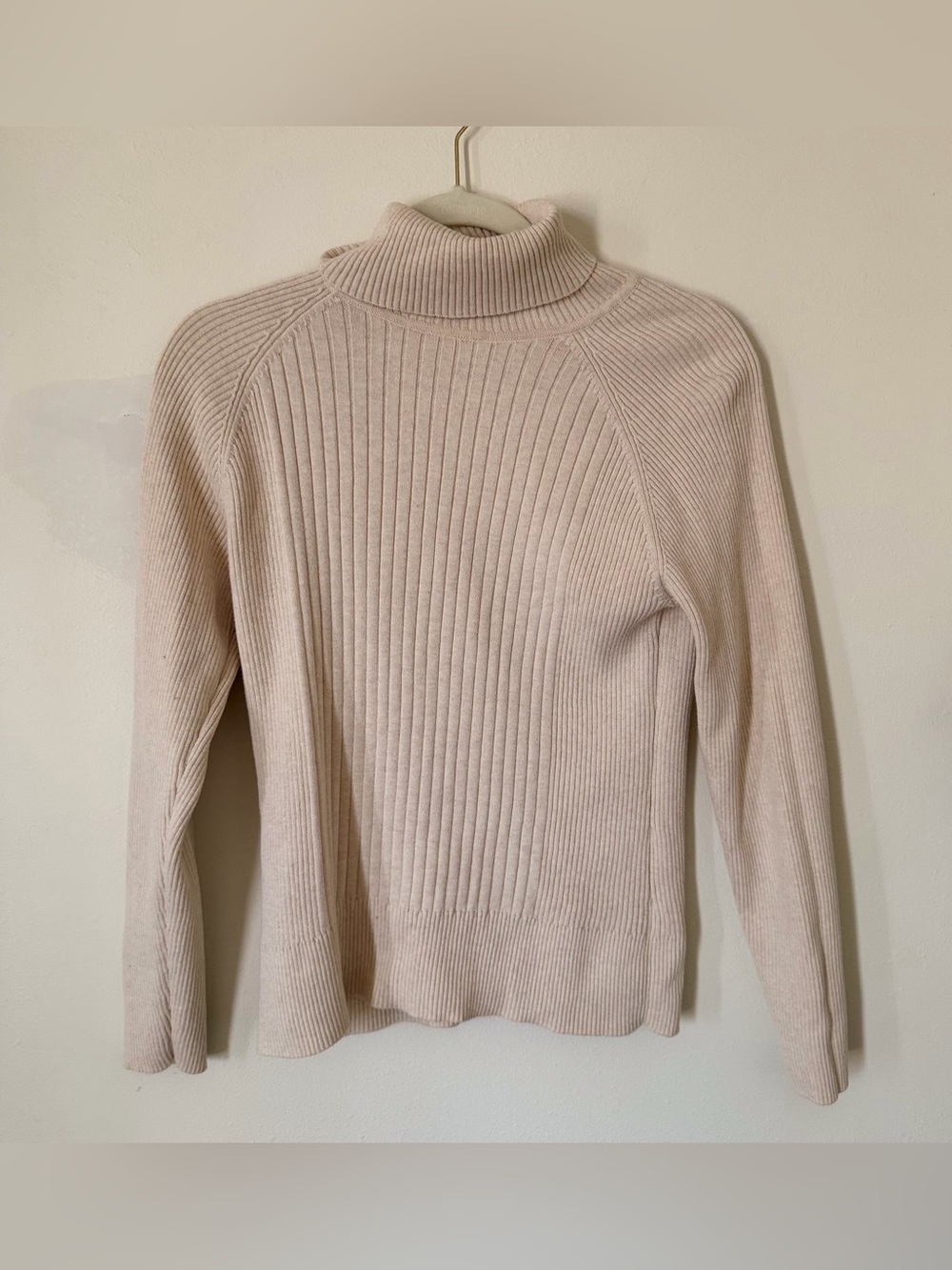 Lg Classic Ribbed Turtleneck Sweater